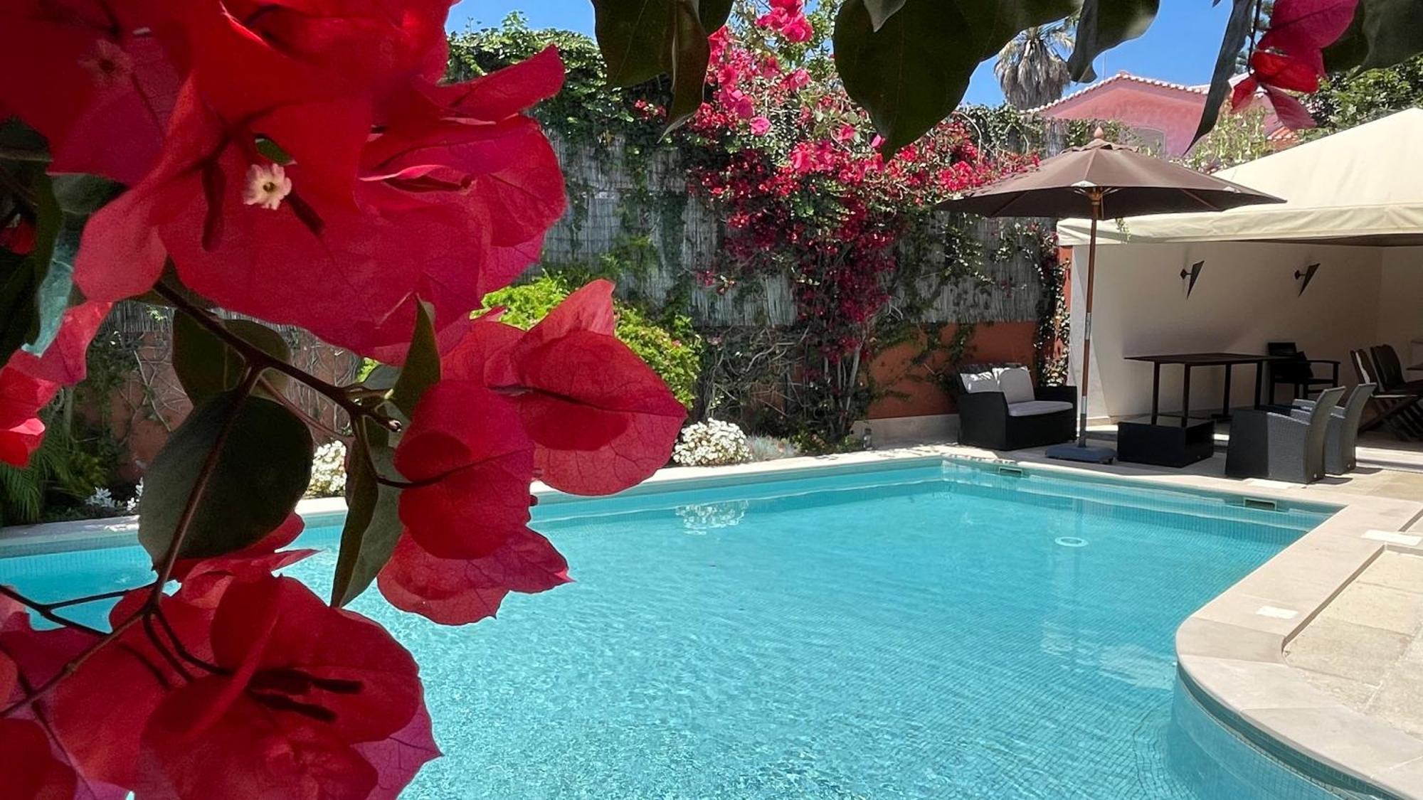 Studio With Private Swimming Pool And Garden Cascais Eksteriør bilde